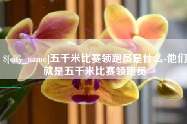 新野五千米比赛领跑员是什么-他们就是五千米比赛领跑员