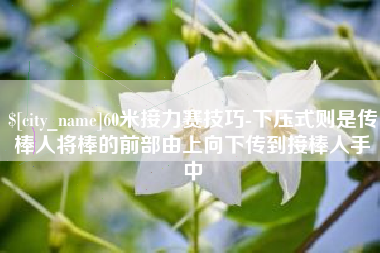 新野60米接力赛技巧-下压式则是传棒人将棒的前部由上向下传到接棒人手中