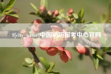 新野中国消防报考中心官网