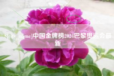 新野中国金牌榜2024巴黎奥运会最新