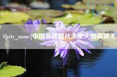 新野中国金牌图片大全大图高清无水印