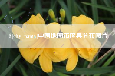 新野中国地图市区县分布图片