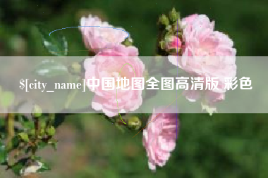 新野中国地图全图高清版 彩色