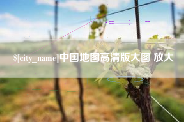 新野中国地图高清版大图 放大