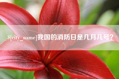 新野我国的消防日是几月几号？