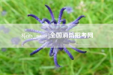 新野全国消防招考网