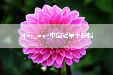 新野中国冠军手抄报