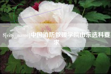 新野中国消防救援学院山东选科要求