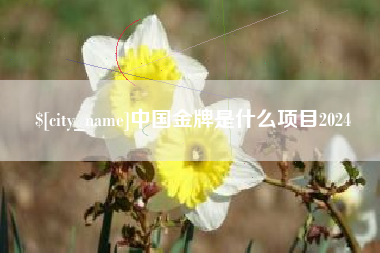 新野中国金牌是什么项目2024