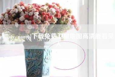 新野下载免费卫星地图高清能看见人