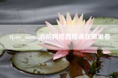 新野消防网络直播课在哪里看