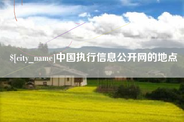 新野中国执行信息公开网的地点