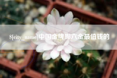 新野中国金牌哪六金最值钱的