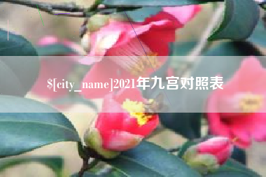 新野2021年九宫对照表
