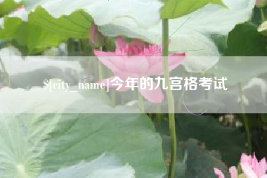 新野今年的九宫格考试
