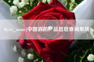 新野中国消防产品信息查询系统1