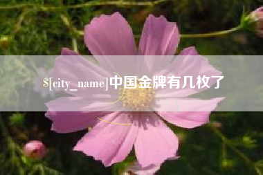 新野中国金牌有几枚了