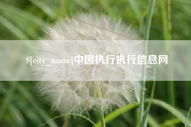 新野中国执行执行信息网