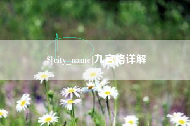 新野九宫格详解