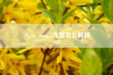 新野九宫怎么解释
