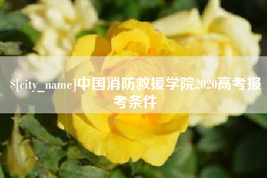 新野中国消防救援学院2020高考报考条件
