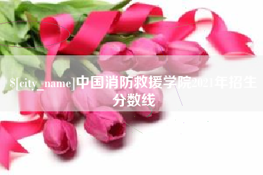 新野中国消防救援学院2021年招生分数线