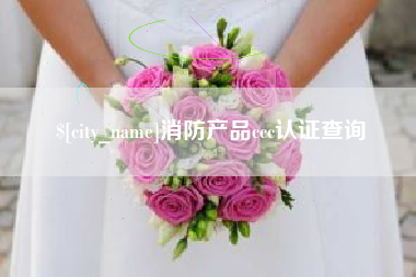 新野消防产品ccc认证查询