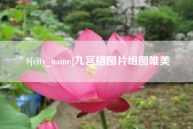 新野九宫格图片组图唯美