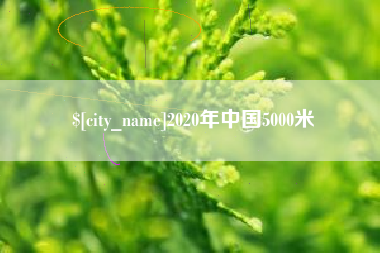 新野2020年中国5000米