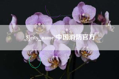 新野中国消防官方
