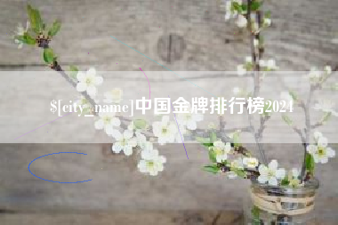 新野中国金牌排行榜2024