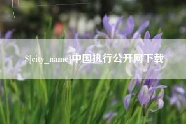 新野中国执行公开网下载