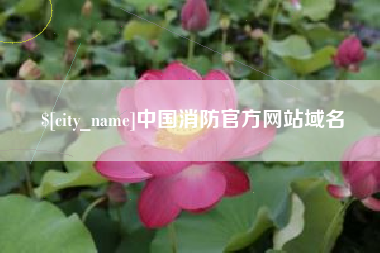 新野中国消防官方网站域名
