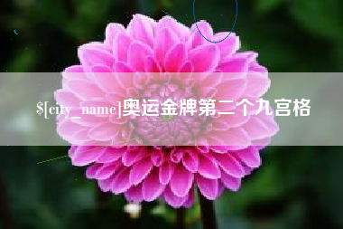 新野奥运金牌第二个九宫格