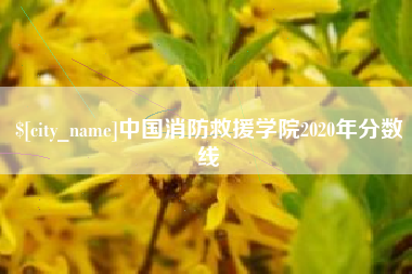 新野中国消防救援学院2020年分数线