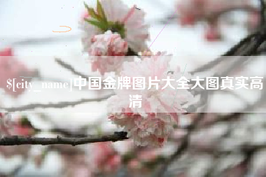 新野中国金牌图片大全大图真实高清