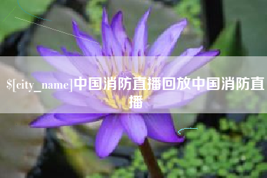 新野中国消防直播回放中国消防直播