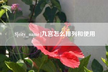 新野九宫怎么排列和使用