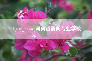新野河南省消防专业学校