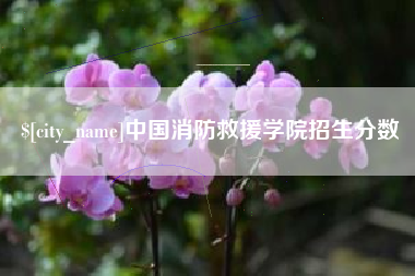 新野中国消防救援学院招生分数