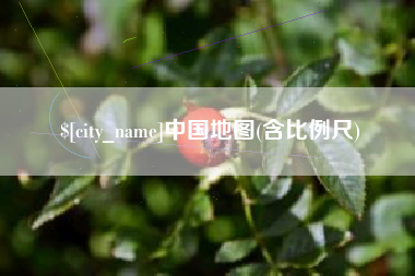 新野中国地图(含比例尺)