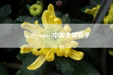 新野中国金牌样子