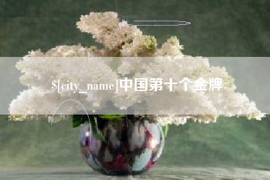 新野中国第十个金牌