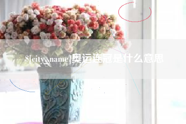 新野奥运连冠是什么意思