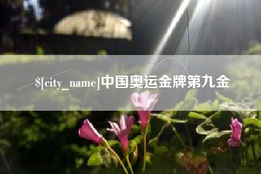 新野中国奥运金牌第九金