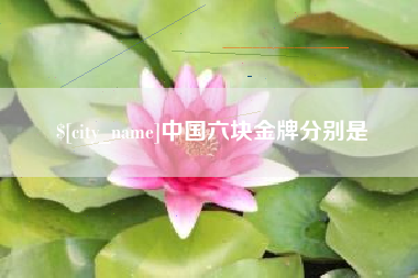新野中国六块金牌分别是