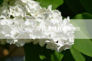 新野中国金牌有哪些2021