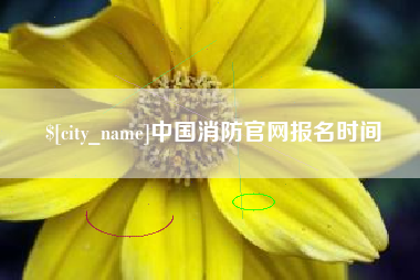 新野中国消防官网报名时间