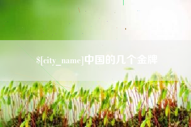 新野中国的几个金牌