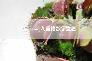 新野九宫格数字意思